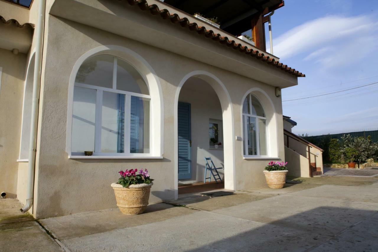 Avion B&B Elmas Exterior photo